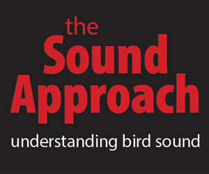 Sound Approach vierkant