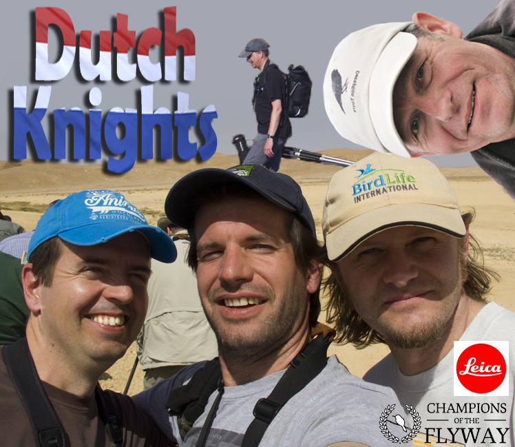 Dutch Knights