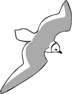 Dutch Birding