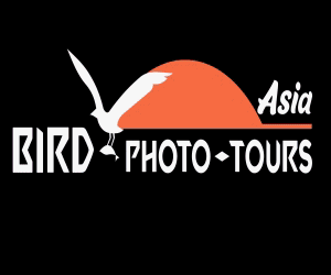 Asia Bird Photo Tours