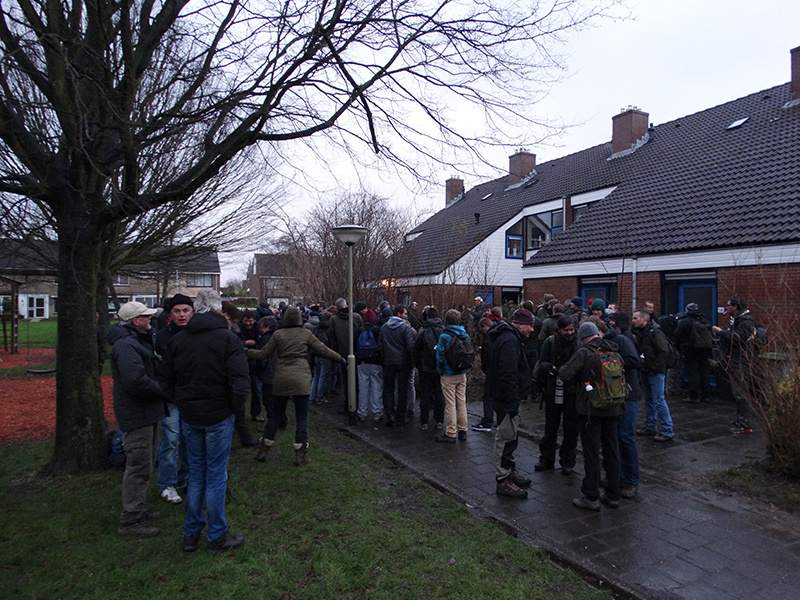 Vogelaars bij Roodkeelnachtegaal (Luuk Punt)