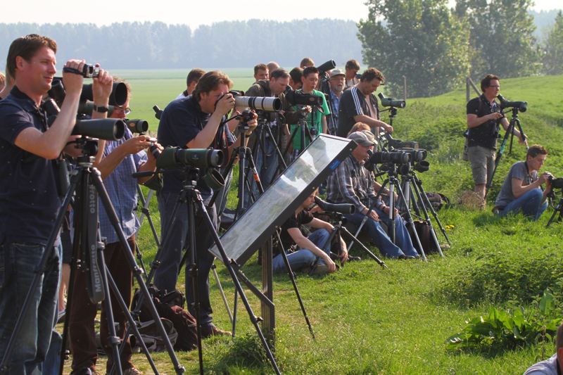 Birders at Ross Gull, Numansdorp, april 2011 (Wietze Janse)