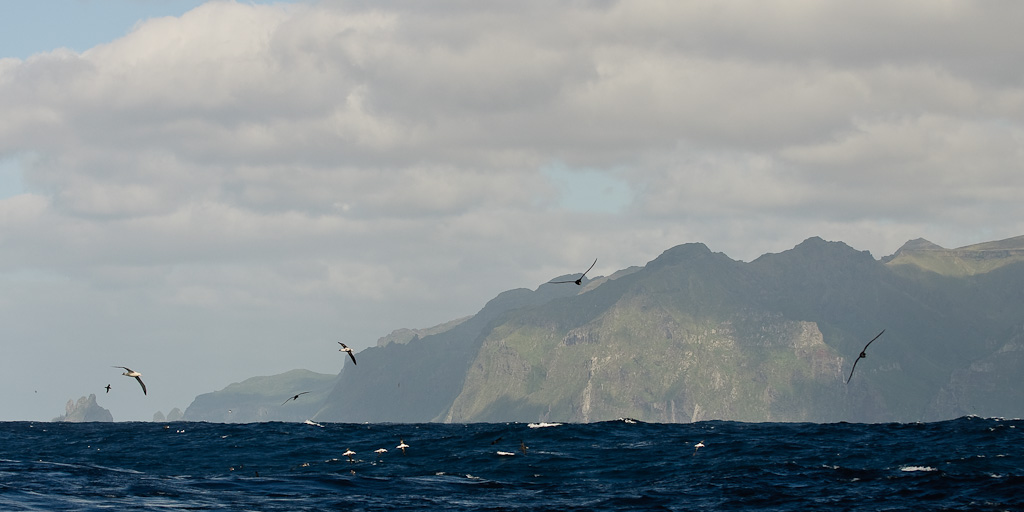 Bij het wegvaren van Gough Island chummen we een tijdje met als resultaat een spoor van vogels achter de boot. (Simon Plat)