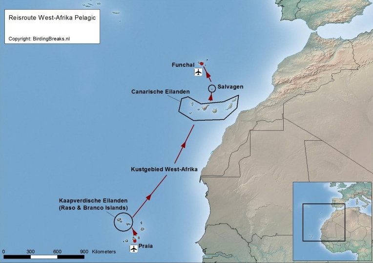 West-Africa pelagic route