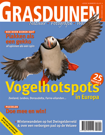 Grasduinen: 11 beste vogelplekken in Europa