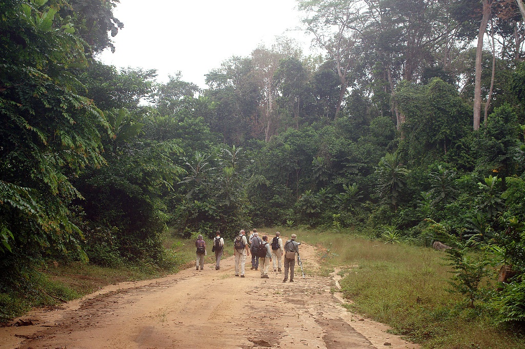 Gabon wordt nauwelijks door vogelaars bezocht. De groep op excursie langs trail Nyonie, Gabon, Januari 2006 (Adriaan Dijksen)