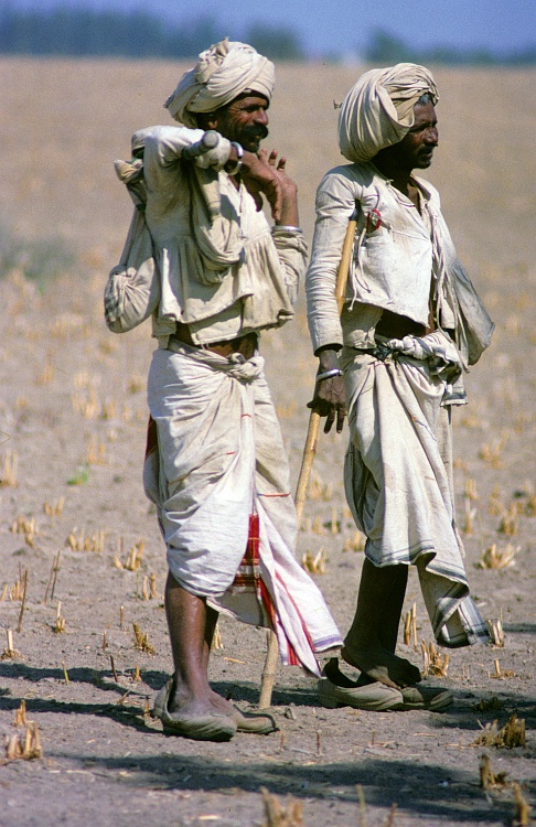 Herders in Gujarat (Gerard Ouweneel)