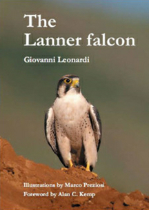 The Lanner falcon