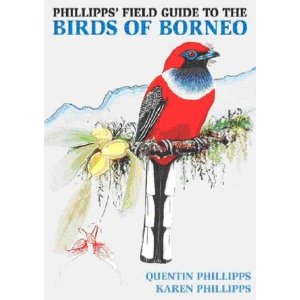 Phillipps Birds Borneo