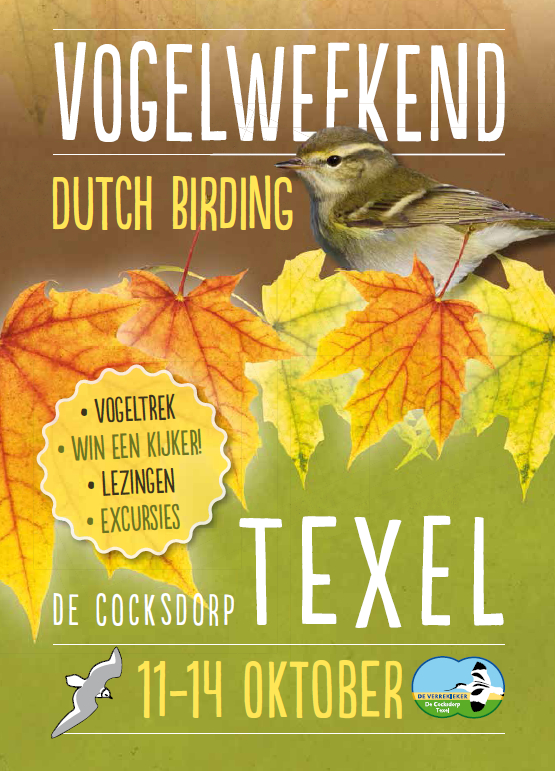 Texel 2013 flyer