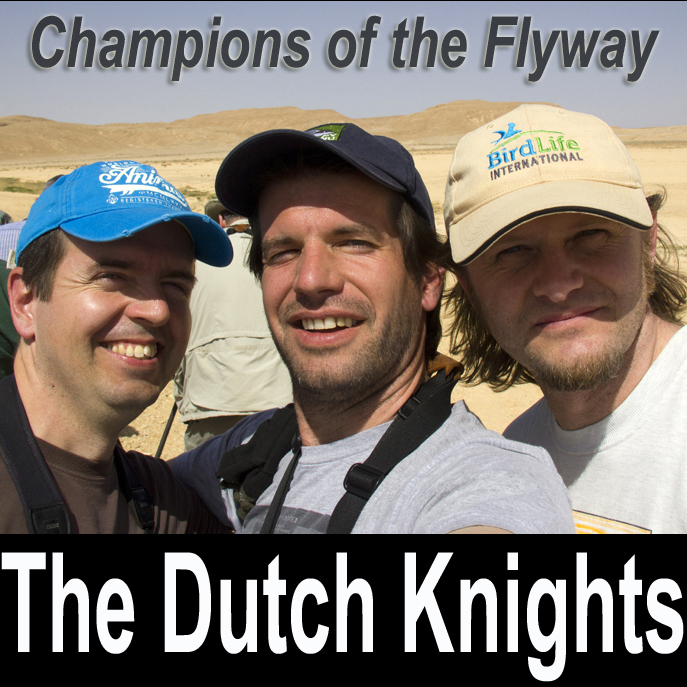 The Dutch Knights