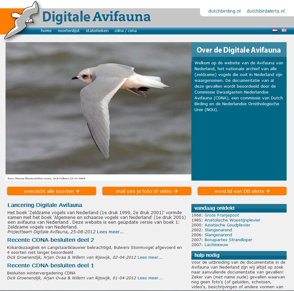 Voorbeeldpagina Digitale Avifauna