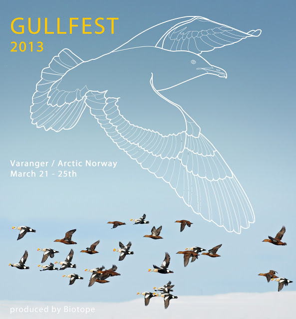 vs gullfest poster