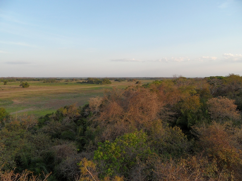 Pantanal 1