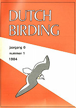 DB 6:1