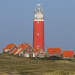 Dutch Birding Vogelweekend 2012 UPDATE: LEES HIER HET PROGRAMMA!