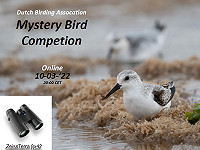 Mystery Bird Competition 