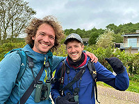 Geelbrauwgors op Vlieland