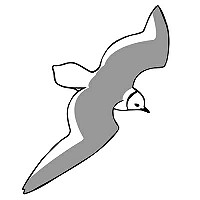 Review Dutch Birding Vogeldag 2024