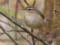 Jaarverslag Schiermonnikoog 2025