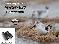 Mystery Bird Competition 