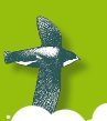 Update: Belgische Vogeldag - 10de EDITIE - 19 februari 2011
