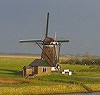 Van Kleine Vliegen en Asian blondes