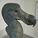 In het spoor van de Dodo
