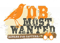 DB Most Wanted - seizoen 3!