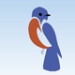 Systematic Notes on Asian Birds 2010