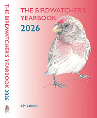 Halve baksteen propvol informatie