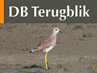 DB Terugblik juli 2025