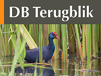 DB Terugblik augustus 2025