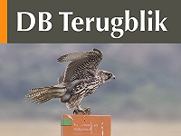 DB Terugblik oktober 2025