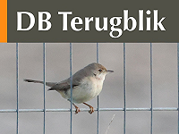DB Terugblik november 2025