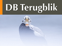 DB Terugblik december 2025