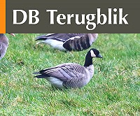 Februari 2025