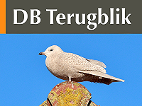 DB Terugblik februari 2026