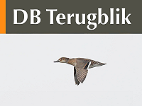 DB Terugblik maart 2026