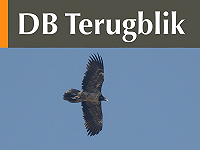 DB Terugblik mei 2026