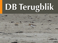 DB Terugblik juli 2026