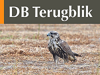 DB Terugblik Augustus 2026