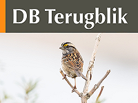DB Terugblik september 2026