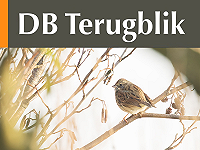 DB Terugblik - januari 2026