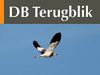 DB Terugblik juni 2026