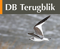 17 februari - 1 maart 2020