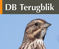 Februari 2022