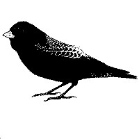 Update voorspelspel 2025